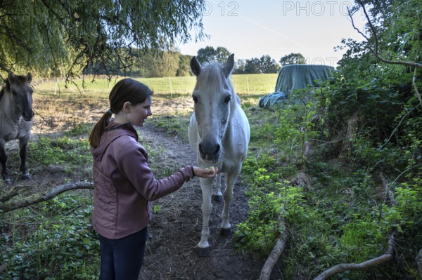 Young girl feeding her horse in the pasture, Othenstorf, Mecklenburg-Western Pomerania, Germany