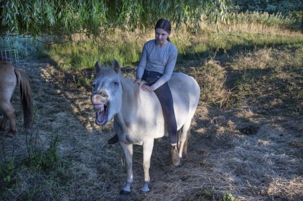 Young girl rides on her whining white mare in the moor area, Othenstorf, Mecklenburg-Western Pomerania, Germany