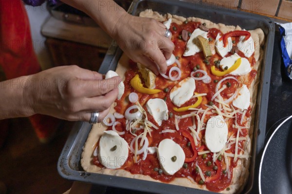 Topping a homemade pizza, gorgonzola and tomatoes, olives and parika on a baking tray, Othenstorf, Mecklenburg-Western Pomerania, Germany