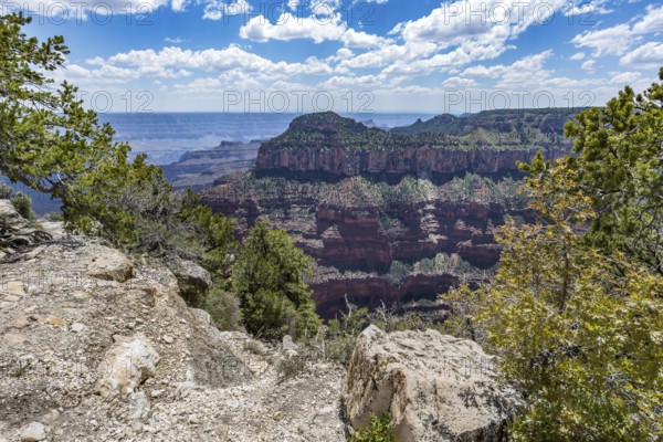 North Rim of the Grand Canyon in Northern Arizona, USA
