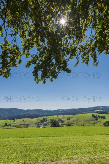 Landscape on the Schauinsland, local mountain of Freiburg im Breisgau