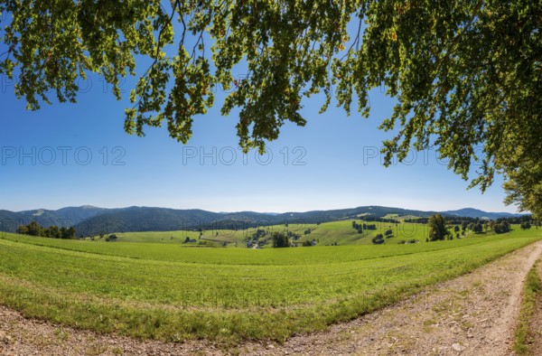 Panoramic landscape on the Schauinsland, Freiburg im Breisgau's local mountain