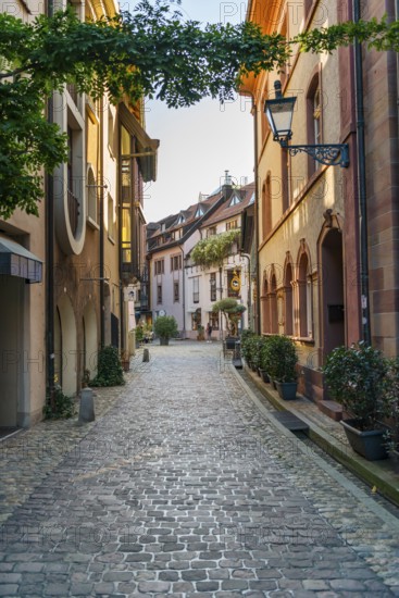 KonviktstraÃŸe in Freiburg im Breisgau, one of the oldest and most picturesque alleys in the city