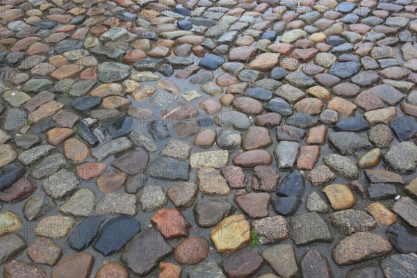 Close-up view of wet cobblestones in various colorful shades