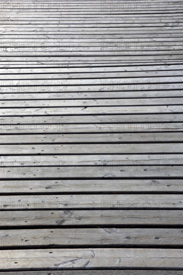 View of an expansive light gray wooden floor with parallel planks
