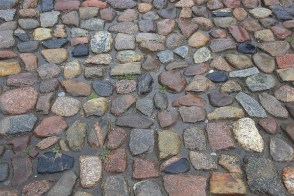 Wet cobblestones with irregular stones in natural earthy tones