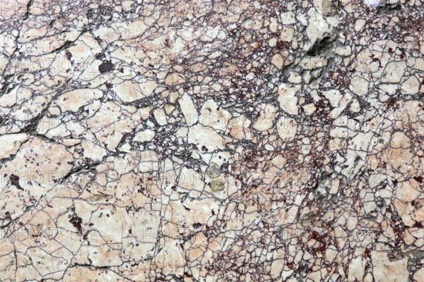 Beige and brown marble with complex pattern and veins