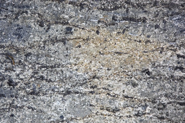 Natural stone surface with beige and grey hues and complex texture