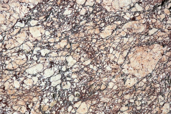Beige marble slab with red veining and complex pattern