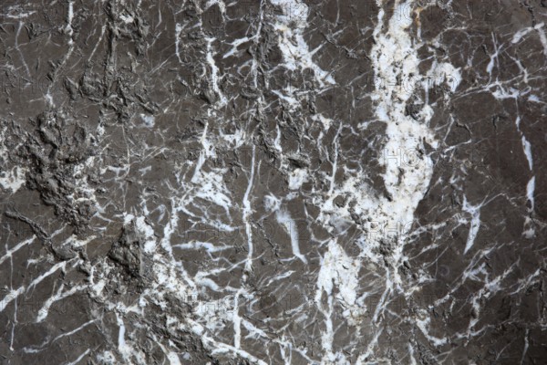 Dark marble with distinctive white veins and contrast