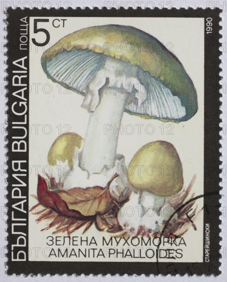 Mushrooms as stamp motif, Amanita phalloides, green bulbous leaf mushroom, Bulgaria