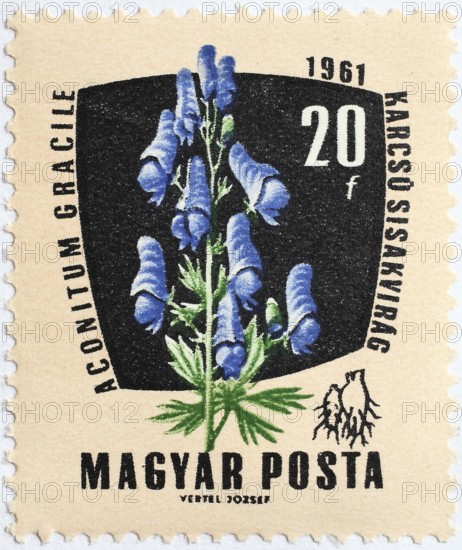 Medicinal plant as stamp motif, Aconitum gracile, aconite, Hungary