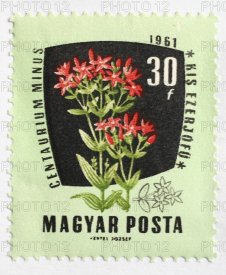 Medicinal plant as stamp motif, Centaurium minus, thousandwort, Hungary