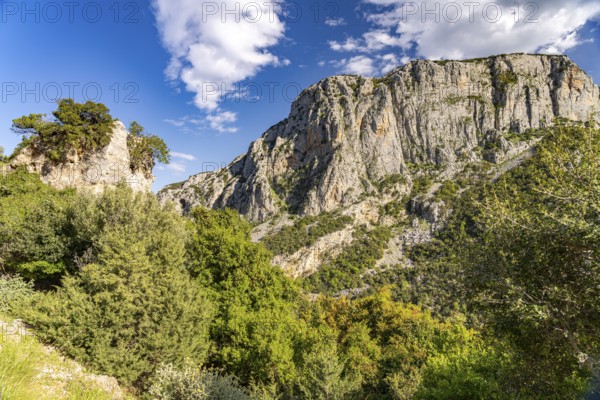 The Manikia Gorge on the island of Euboea or Evia, Greece