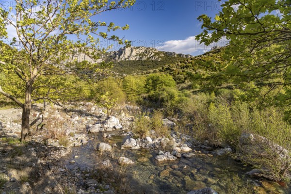The Manikiatis River in the Manikia Gorge on the island of Euboea or Evia, Greece
