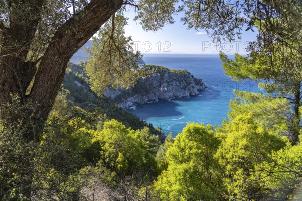 The coast near the village of Pili or Pelio, the island of Euboea or Evia, Greece