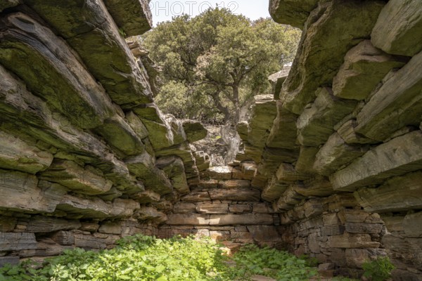 Prehistoric Palli-Lakka dragon house Drakospita near Styra, island of Euboea or Evia, Greece