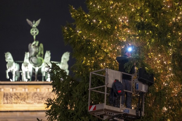 The big Christmas tree in front of the Brandenburg Gate, on Pariser Platz, is decorated with fairy lights, Berlin, Germany