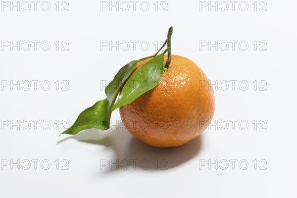 Fresh mandarin with leaf on white background