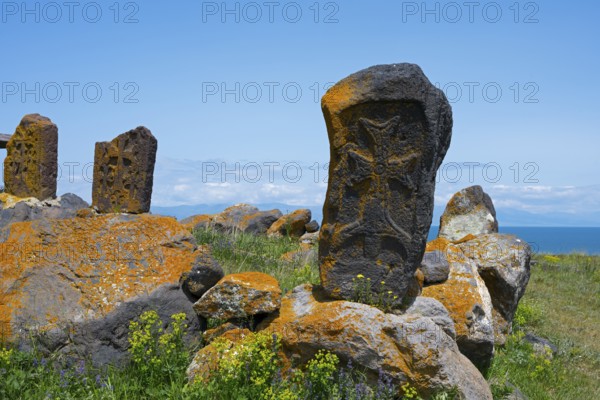 Old tombstones decorated with crosses on a scenic meadow by the sea, khachkars in a cemetery at the chapel of the Holy Cross near Noratus, Sarukhan, Lake Sevan, Gegharkunik province, Armenia