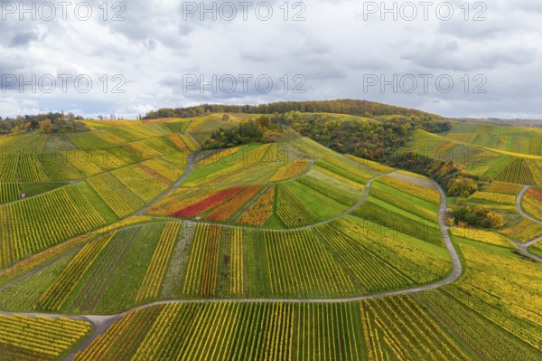 Colourful vineyards and fields in autumn colors under cloudy sky, near StrÃ¼mpfelbach im Remstal, Rems-Murr-Kreis, Baden-WÃ¼rttemberg, Germany