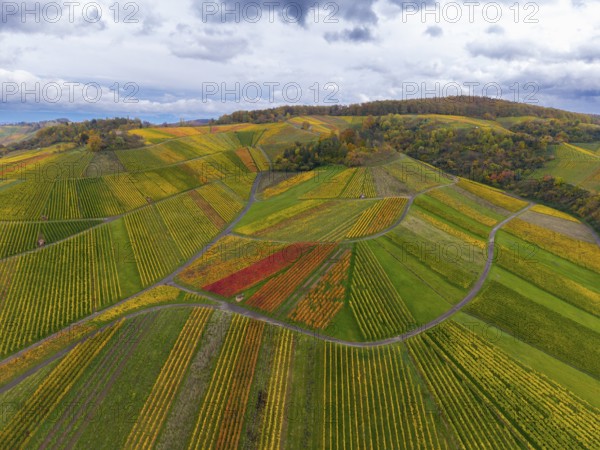 Multicoloured vines and cloudy sky over hilly landscape, autumn, near StrÃ¼mpfelbach im Remstal, Rems-Murr-Kreis, Baden-WÃ¼rttemberg, Germany