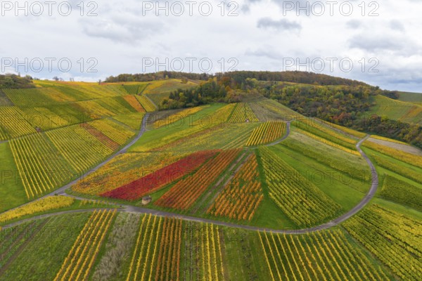 Landscape with colorful vineyards and clouds in the sky, autumn, near StrÃ¼mpfelbach im Remstal, Rems-Murr-Kreis, Baden-WÃ¼rttemberg, Germany