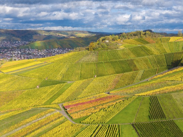 Landscape view of hills full of colorful vines with a village and clouds in the background, autumn, near StrÃ¼mpfelbach im Remstal, Rems-Murr-Kreis, Baden-WÃ¼rttemberg, Germany