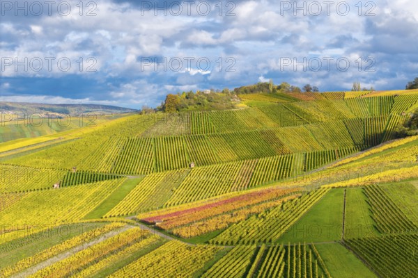 The intense colors of the vineyards contrast with the cloudy sky in an autumn landscape, near StrÃ¼mpfelbach im Remstal, Rems-Murr-Kreis, Baden-WÃ¼rttemberg, Germany
