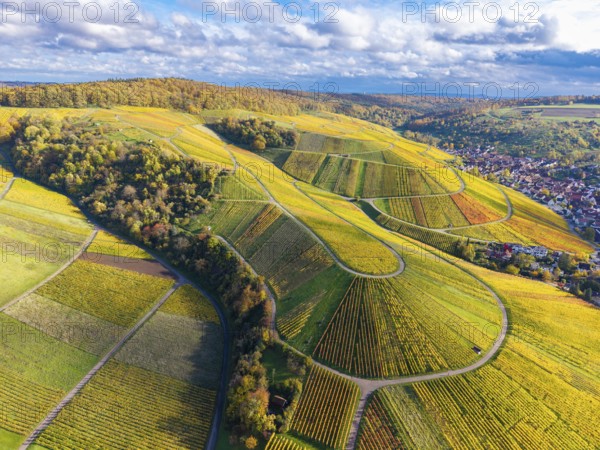 Aerial view of vineyards with winding paths, glowing leaves and cloudy sky, autumn, near StrÃ¼mpfelbach im Remstal, Rems-Murr-Kreis, Baden-WÃ¼rttemberg, Germany