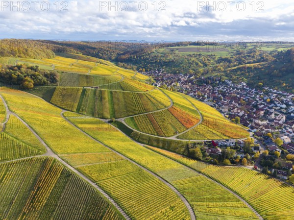 Hilly vineyards with a village on the edge and cloudy sky above, autumn, near StrÃ¼mpfelbach im Remstal, Rems-Murr-Kreis, Baden-WÃ¼rttemberg, Germany