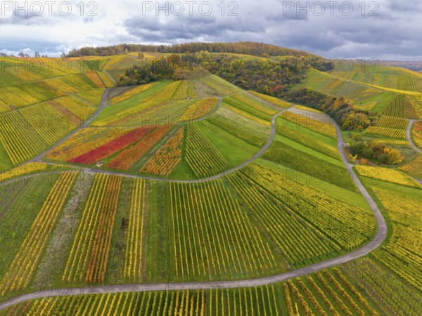 Diverse colors of the vineyards with shady skies above, autumn, near StrÃ¼mpfelbach im Remstal, Rems-Murr-Kreis, Baden-WÃ¼rttemberg, Germany