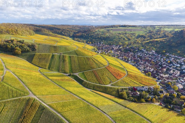 Colourful vineyards in autumn with a village in the background under a cloudy sky, autumn, near StrÃ¼mpfelbach im Remstal, Rems-Murr-Kreis, Baden-WÃ¼rttemberg, Germany