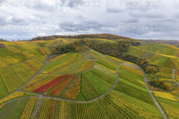 Vineyards in full autumn splendor under grey skies, near StrÃ¼mpfelbach im Remstal, Rems-Murr-Kreis, Baden-WÃ¼rttemberg, Germany