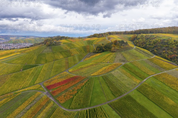 Autumn vineyards with colorful vines and cloudy sky, autumn, near StrÃ¼mpfelbach im Remstal, Rems-Murr-Kreis, Baden-WÃ¼rttemberg, Germany