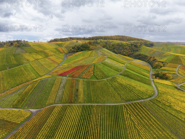 Colourful landscape with vines and clouds in the distance, autumn, near StrÃ¼mpfelbach im Remstal, Rems-Murr-Kreis, Baden-WÃ¼rttemberg, Germany