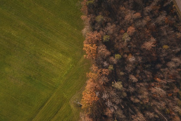 Aerial view of colorful autumn forest bordering an open field