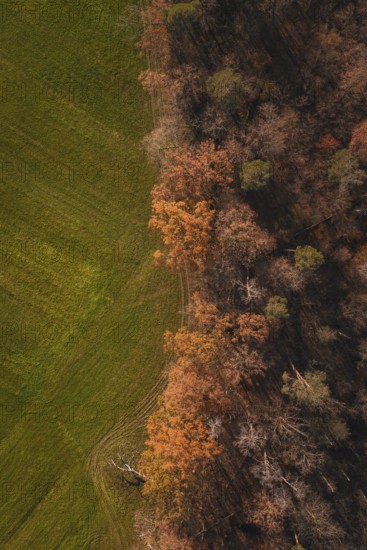High-contrast image with colorful autumn forest next to bright green fields