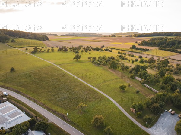 Wide landscape with fields and trees in the soft light of sunset