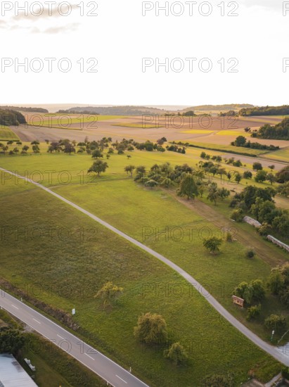 Wide hilly landscape with fields and isolated trees at sunset