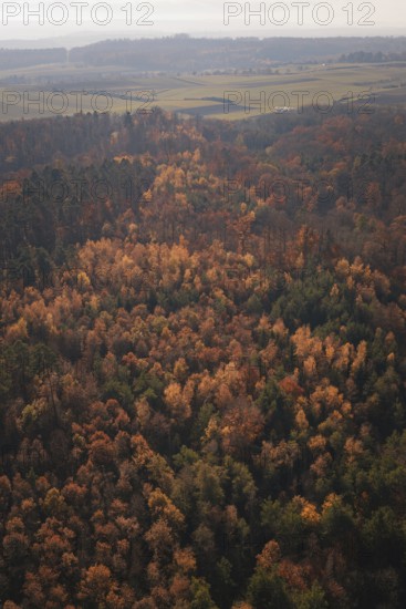 Autumn forest with a sea of colorful foliage and rolling hills in the background