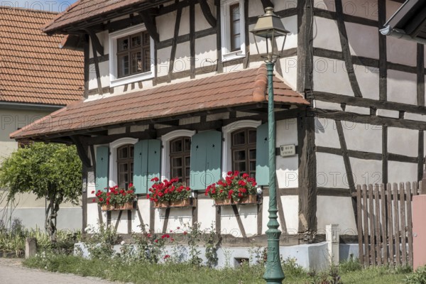 Timbered house in the street village of Hohwiller, in German Hohweiler, Alsace, France