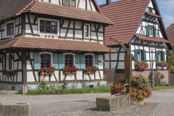Half-timbered houses in the street village of Hohwiller, in German Hohweiler, Alsace, France