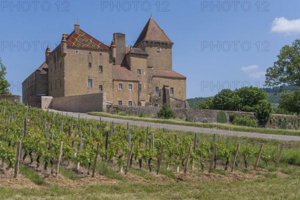 ChÃ¢teau de Pierreclos is a Romanesque castle complex in the French commune of Pierreclos in the SaÃ´ne-et-Loire department in the Bourgogne-Franche-Comté region