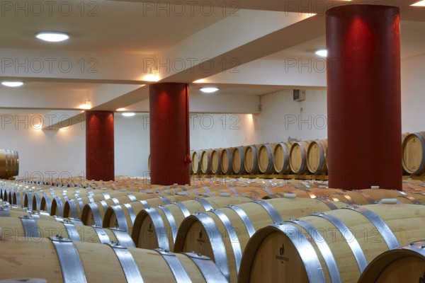Wine cellar with wooden barrels and red pillar, large number of lights on the ceiling, Papaioannou winery, Nemea wine region, Peloponnese, Greece