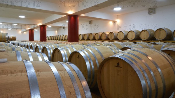 Large wine cellar with lots of wooden barrels in long rows and red columns in a well-lit room, Papaioannou winery, Nemea wine region, Peloponnese, Greece