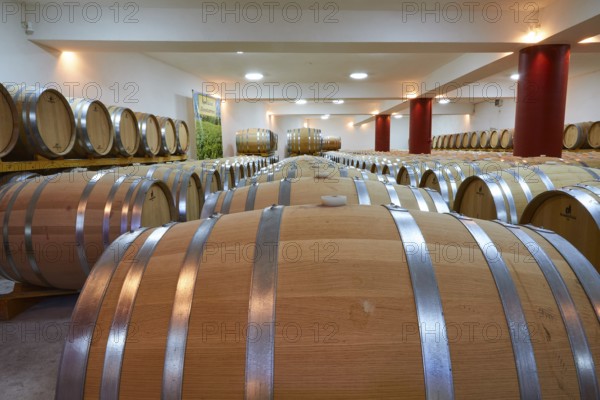 Long wine cellar with numerous wooden barrels and red columns, well lit, Papaioannou winery, Nemea wine region, Peloponnese, Greece