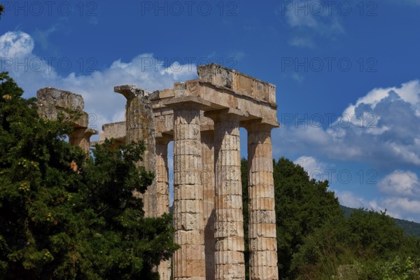 Detailed view of ancient temple columns against a wooded background with blue sky, Ancient Zeus Sanctuary, Archaeological Site, Nemea, Peloponnese, Greece