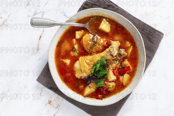 Souzi soup. Georgian dish, meat with oats, tomato sauce and herbs
