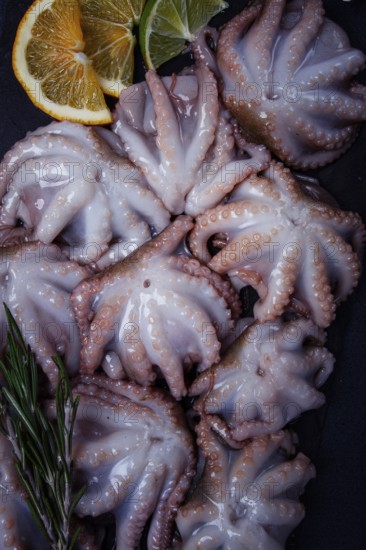 Fresh baby octopus, on black slate, with lemon and greenery, top view, no people
